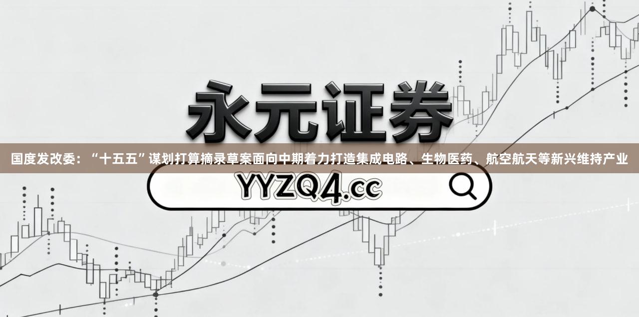 国度发改委：“十五五”谋划打算摘录草案面向中期着力打造集成电路、生物医药、航空航天等新兴维持产业